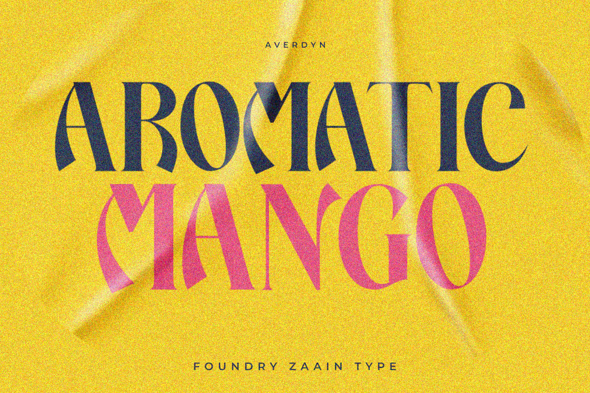 Averdyn, a Serif Font by zaaintype (Photo 4 of 10)
