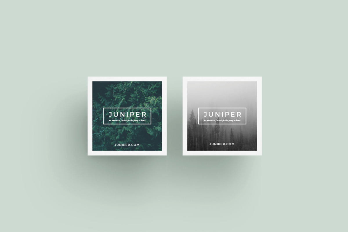 J U N I P E R  Branding Bundle!, a Packaging Mockup by 46&2 Collective (Photo 15 of 21)
