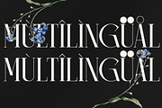 Camaroon Megalord Serif Display Font, a Serif Font by Storytype Studio (Thumbnail 12 of 15)