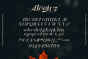 Alegiro Serif Font