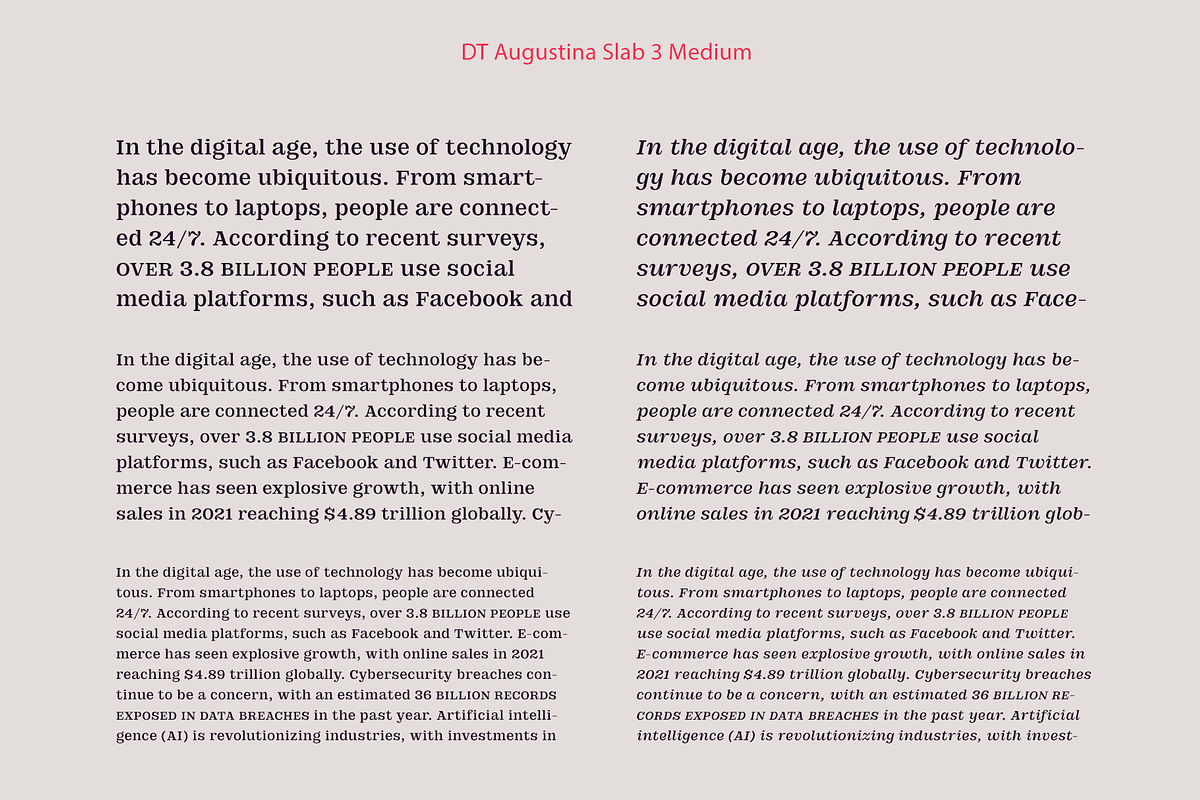 DT Augustina Slab 3 Subfamily, a Slab Serif Font by Deveze Type Foundry (Photo 10 of 31)