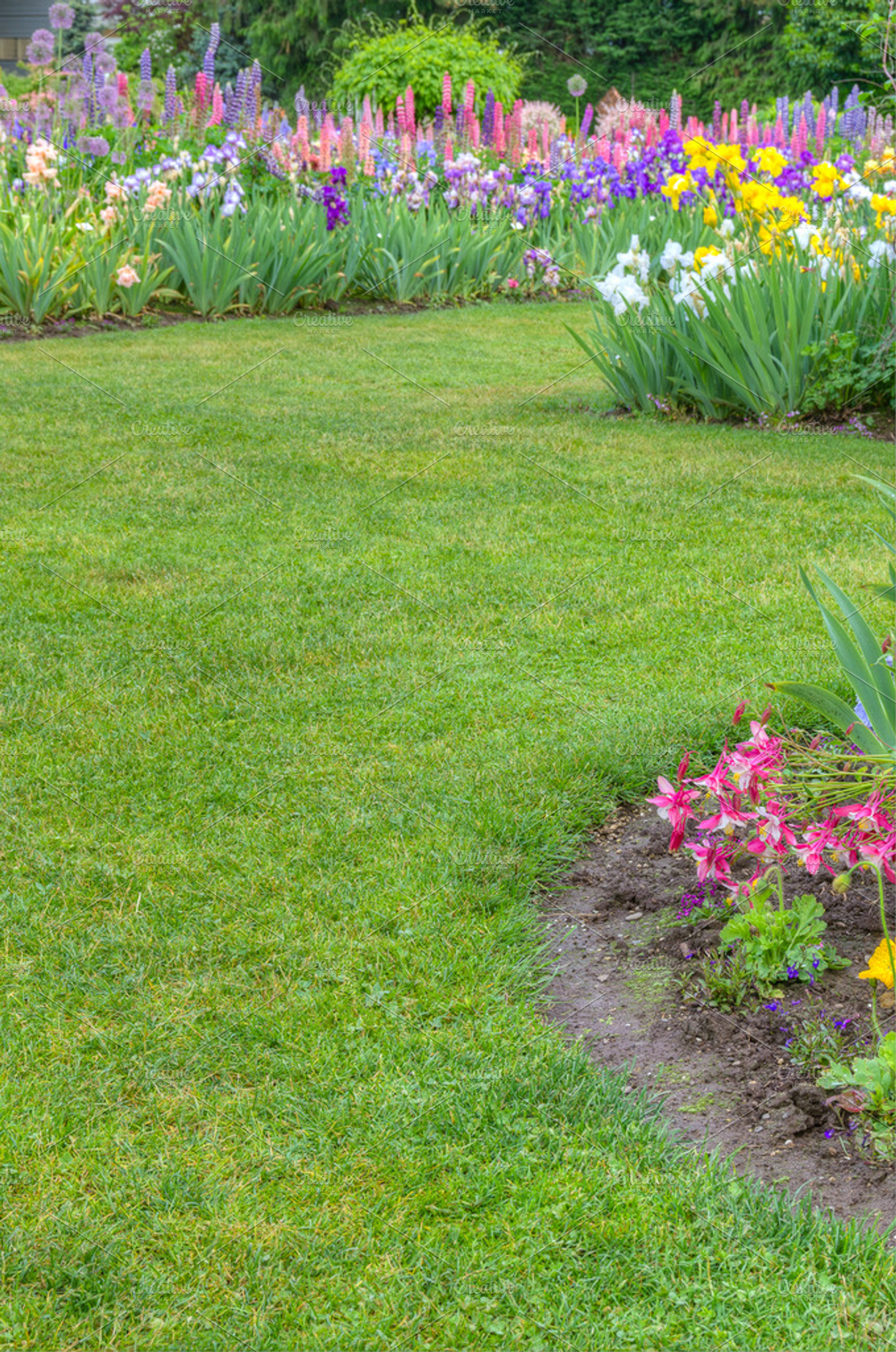 Blooming Flower Garden With Lawn