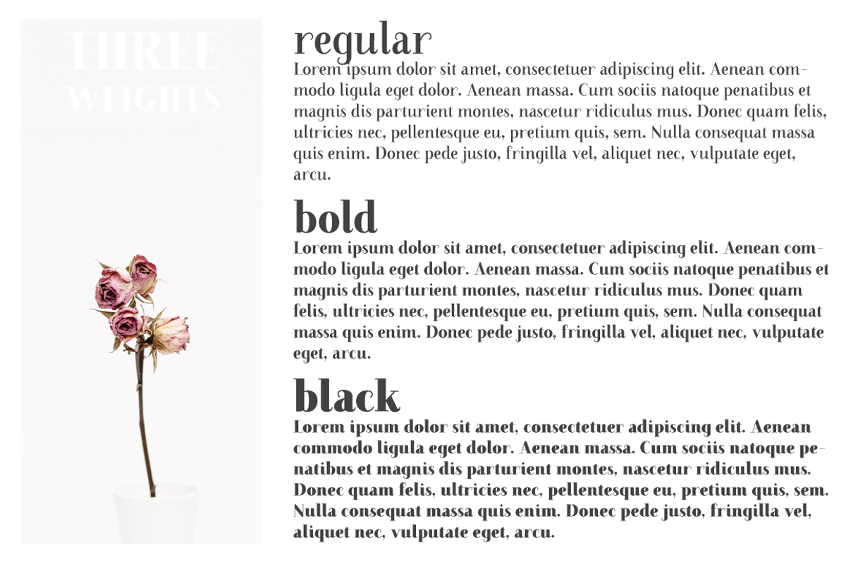 Farewell Angelina elegant font family preview 4