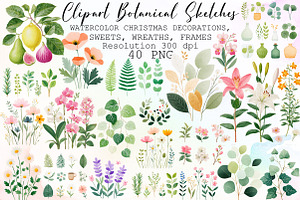 Vintage Clipart Botanical Sketches, an Illustration by Sublimation Artist
