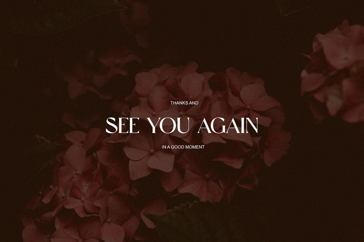 Qilsand Elegant Ligature Serif, a Serif Font by Alfinart (Photo 10 of 10)