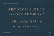 Rifieka // Modern Display Typeface, a Sans Serif Font by Letterature Std. (Thumbnail 2 of 10)
