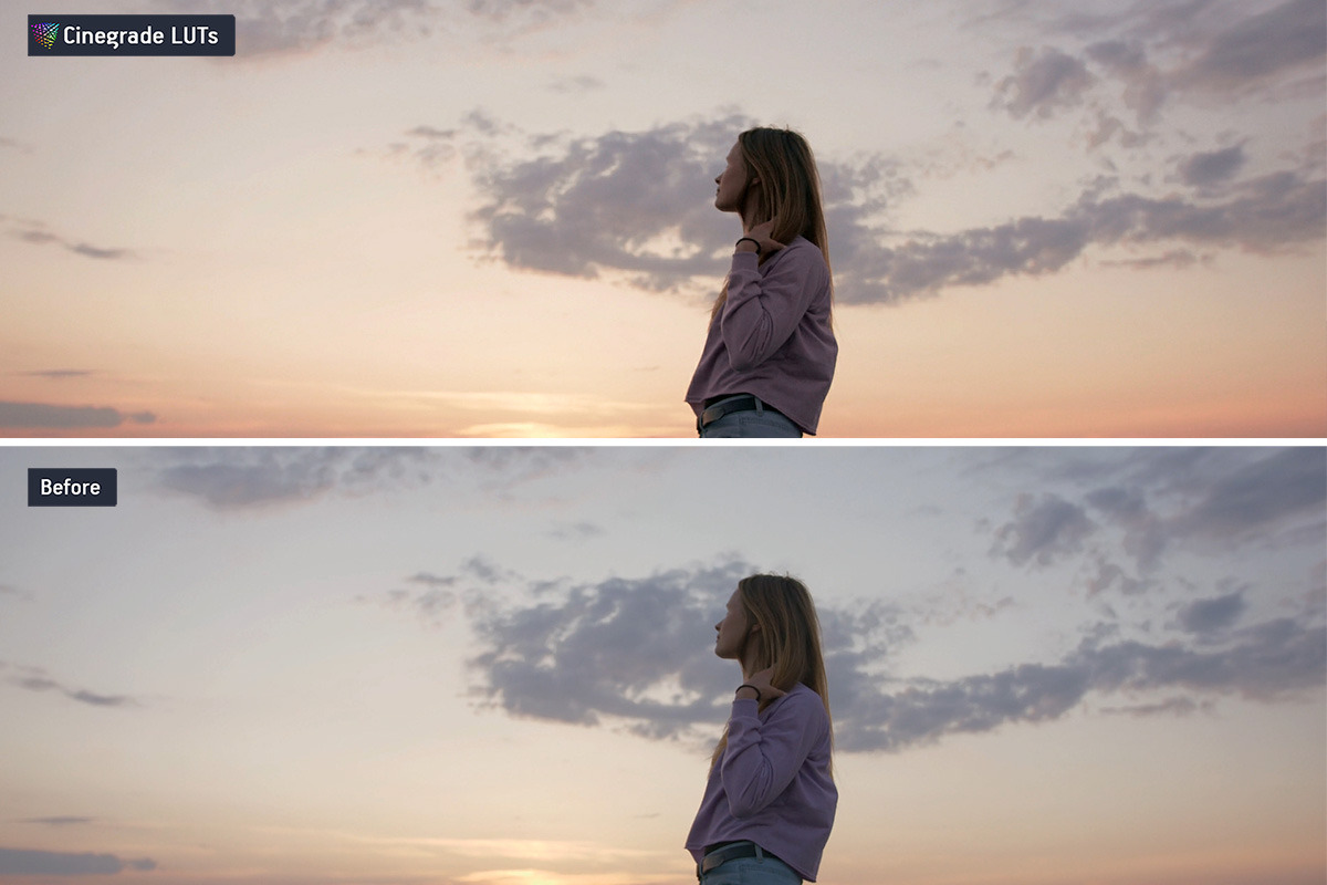 CineGrades LUTs v.3 – Cinematic LUTs, a Preset Add-On by CineMart (Photo 9 of 9)