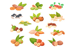 Cartoon nuts seeds. Almond peanut, a Food Illustration by Stock-Smart-Start