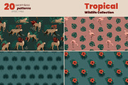 Tropical Wildlife Collection, a Decorative Illustration by moja doodle (Thumbnail 7 of 8)