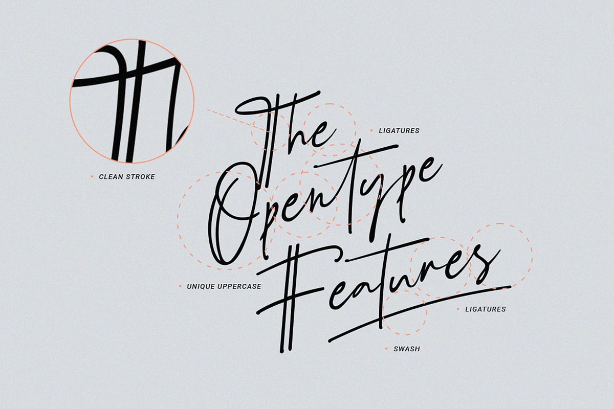 Schrödinger's | Signature Font, a Script Font by Ardana Creative (Photo 2 of 12)
