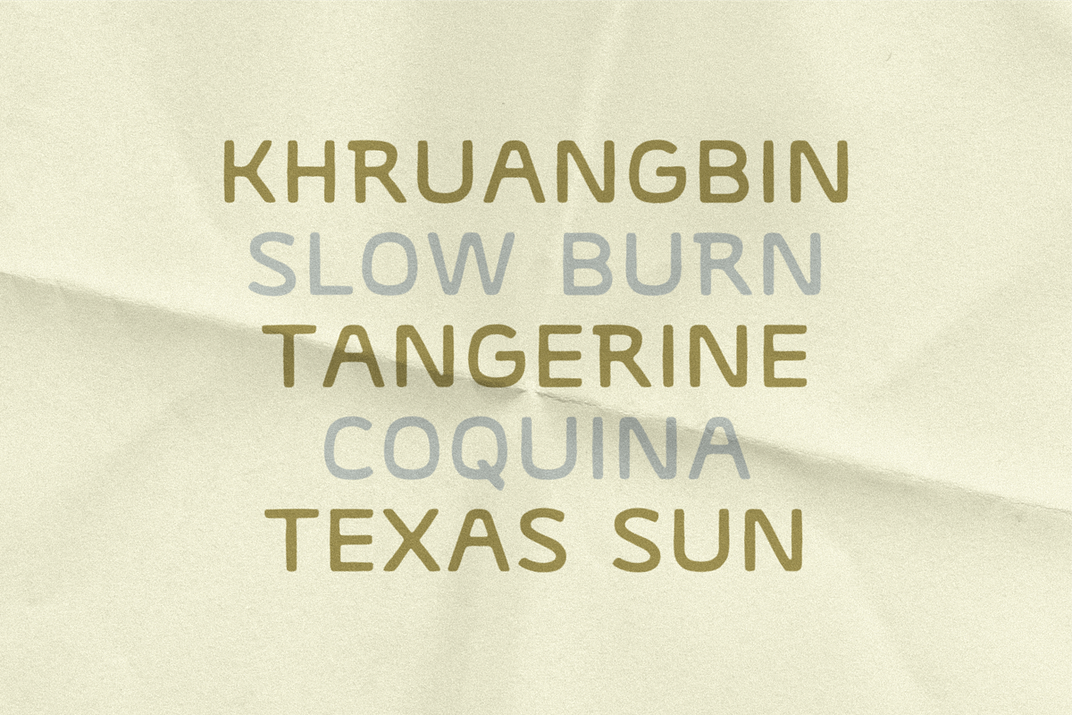 SABAL PALM by Abby Leighton, a Sans Serif Font by Abby Leighton Studio (Photo 4 of 4)