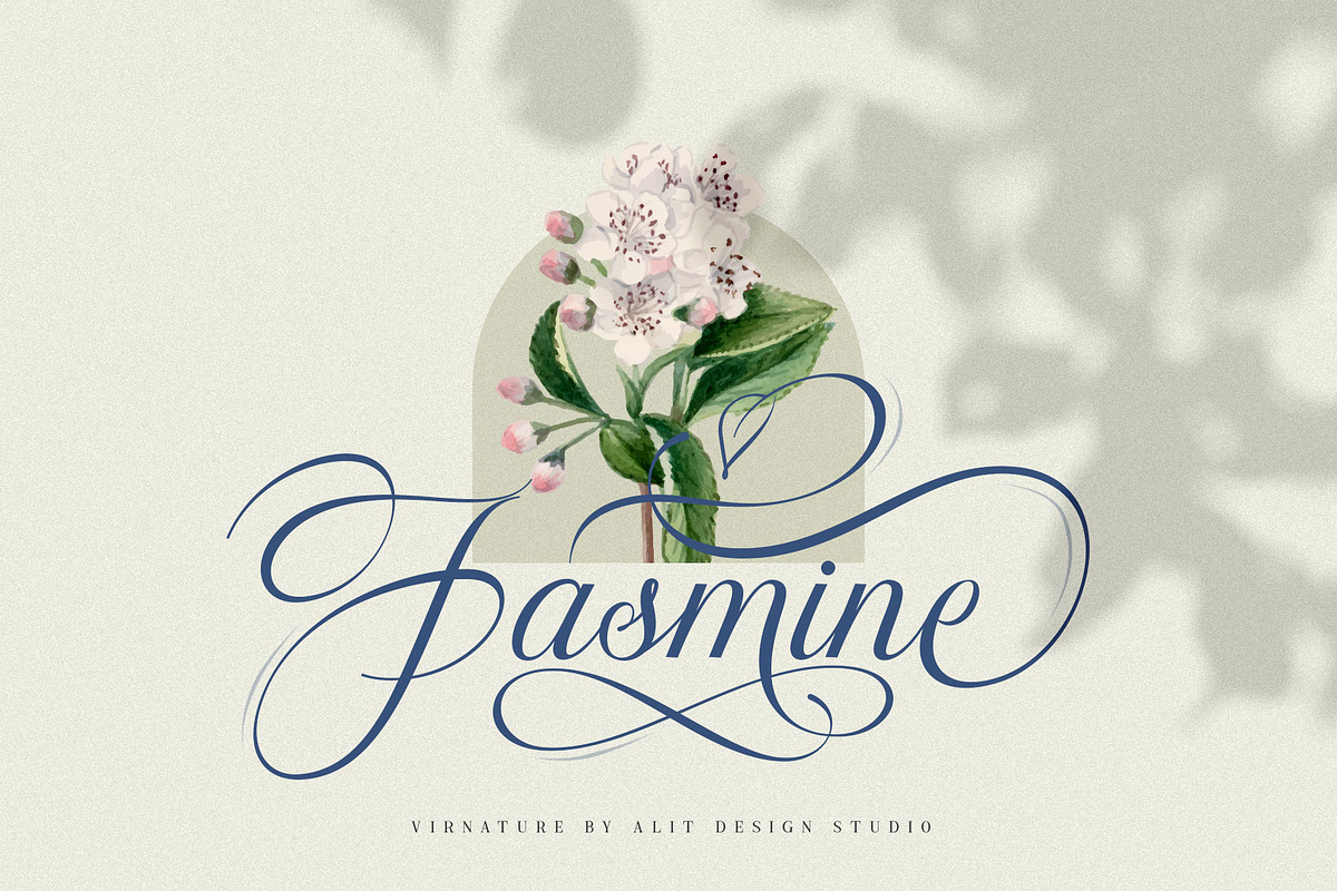The Virnature Nature Script, a Script Font by alit design (Photo 2 of 18)