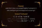 Rowit, a Serif Font by twinstd (Thumbnail 10 of 12)
