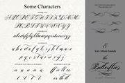Butterflies, a Script Font by beeART (Thumbnail 10 of 10)