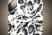 Watercolor Leopard Skin Patterns, a Pattern Graphic by StabuLaRasa illustration (Thumbnail 4 of 7)