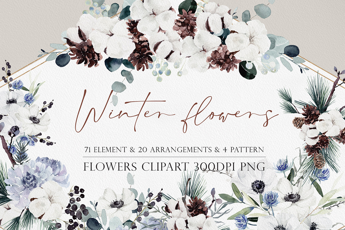 Watercolor flower - Winter flowers, an Illustration by Beigetime (Photo 1 of 8)