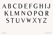 Vintage Ornate Badge Font - No.8, a Serif Font by Century Library (Thumbnail 4 of 5)