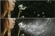 Fairy overlays package, an Object Graphic by ArtuscoDesign (Thumbnail 4 of 8)