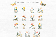 Wildflower Clipart, a Seasonal Illustration by EllyandLima (Thumbnail 6 of 8)