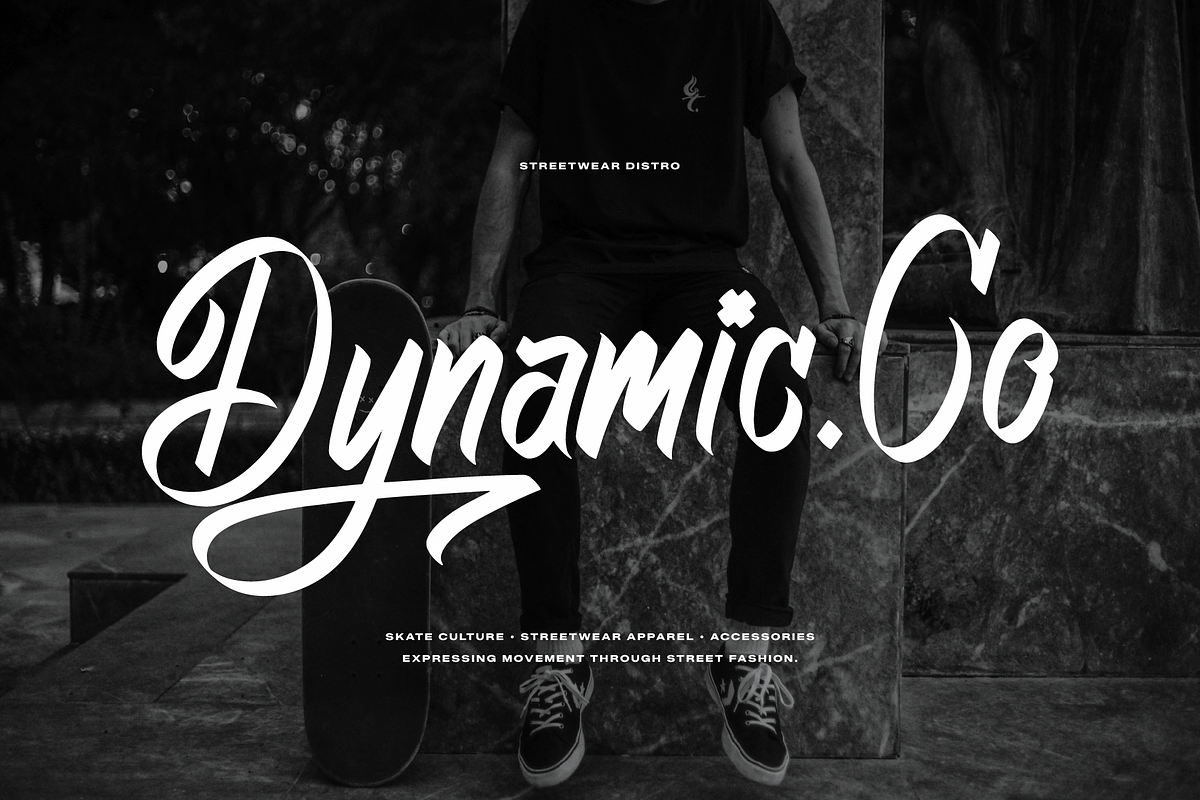 Phantom Asylum Graffiti Script Font, a Handwritten Font by Denustudios (Photo 3 of 12)
