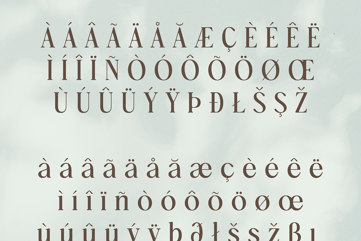 Artigianale Serif, a Serif Font by Creative Foundry (Photo 7 of 8)