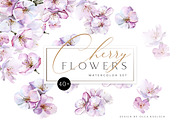 Cherry Blossom Watercolor, a Decorative Illustration by Olga Koelsch (Thumbnail 1 of 9)