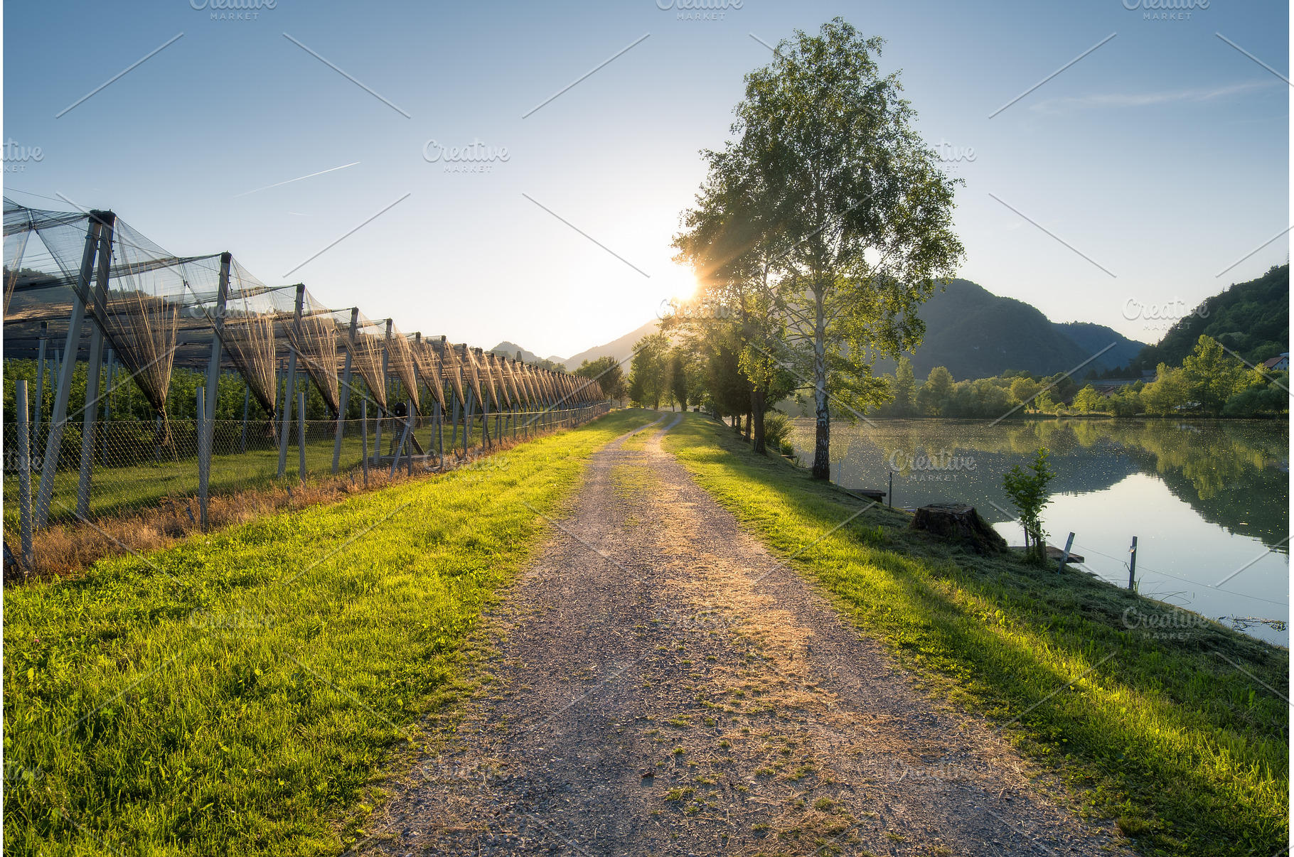 Gravel road passing by an apple, a Nature Photo by den-belitsky