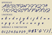 Emotionally Calligraphy Font, a Script Font by 177Studio (Thumbnail 8 of 8)