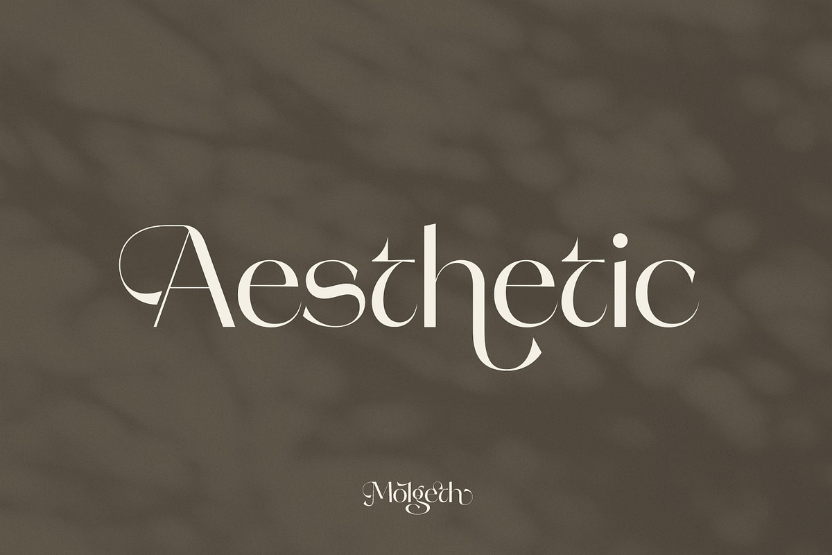 Molgeth - Aesthetic Sans Serif, a Sans Serif Font by Variatype (Photo 4 of 15)