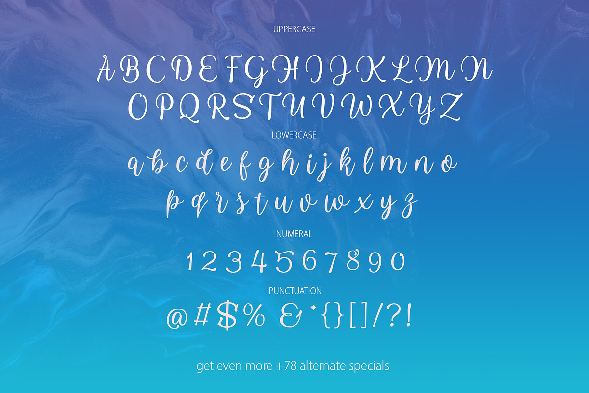 Howell Script, a Script Font by Genesis Lab (Photo 6 of 6)