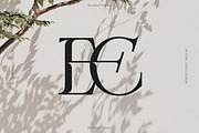 Bellrose Display Serif Font, a Serif Font by CarmineType (Thumbnail 3 of 24)