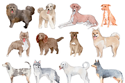 190+ Hand-drawn Watercolor Dogs, an Animal Illustration by ArtbyHien (Thumbnail 2 of 12)