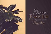 Claude Font Duo, a Script Font by Typeshelter (Thumbnail 4 of 8)