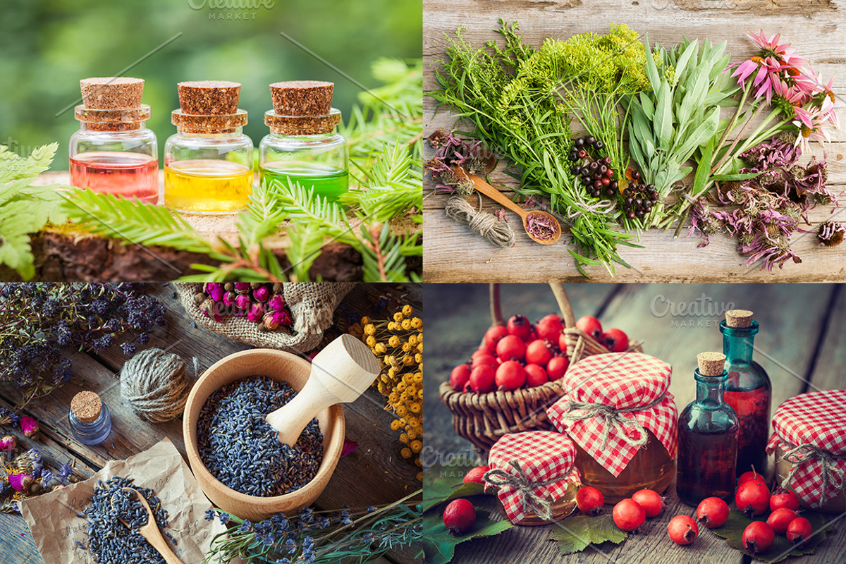 Herbal Medicine Bundle, a Health & Medical Photo by chamillewhite (Photo 5 of 6)