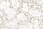 Marble textures 8000 x 8000 px, a Texture Graphic by tkdesign (Thumbnail 6 of 21)