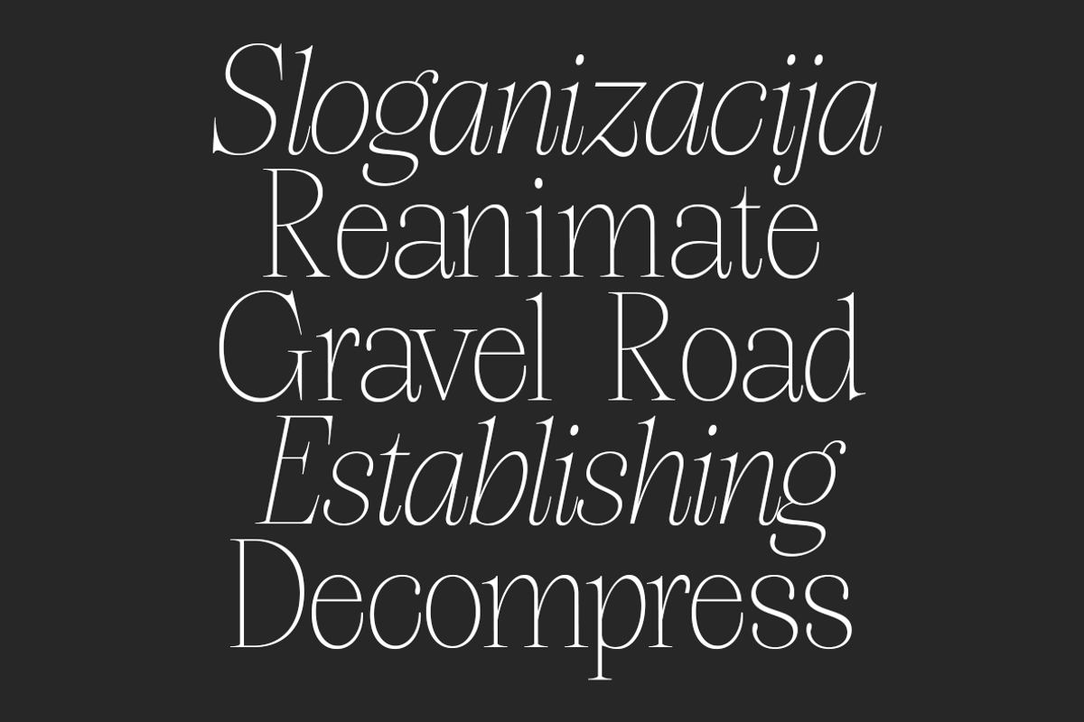 hoto serif display, a Serif Font by InkwellTypeCo (Photo 7 of 9)
