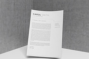 Resume Template / CV, a Resume Template by TheResumeCoach (Thumbnail 5 of 5)