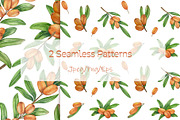 Sea Buckthorn Watercolor Clipart, a Food Illustration by Milla_Zelenyuk_art (Thumbnail 4 of 4)