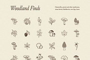 FOREST TREASURES illustrations, a Seasonal Illustration by Crocus Paperi (Thumbnail 5 of 8)