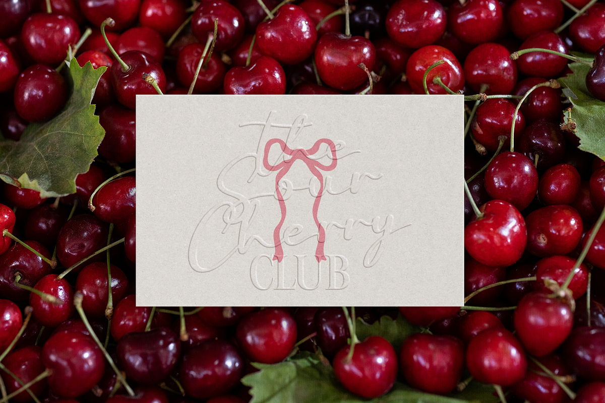 Jalvionah - Script Font, a Script Font by Indotype Foundry (Photo 6 of 10)
