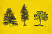 37 Vintage Tree Illustrations, an Object Graphic by AndrewPixel (Thumbnail 7 of 8)