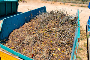 garden waste in a recycling container, a Photo by Nito