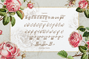 Hauliot Roisy | Handwritten Romantic, a Script Font by gracetype_studio (Thumbnail 12 of 12)
