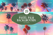 19 Pastel Palm Backgrounds, a Background Photo by Incomelion (Thumbnail 1 of 6)