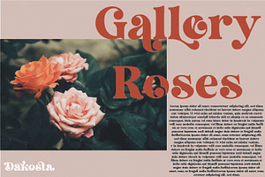 Dakosta Retro Serif Typeface