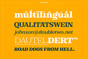 XXII Elissa, a Serif Font by Doubletwo Studios (Thumbnail 4 of 25)