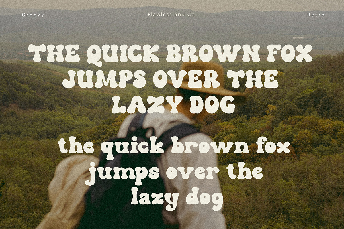The Bouns, a Script Font by Flawless And Co (Photo 7 of 11)