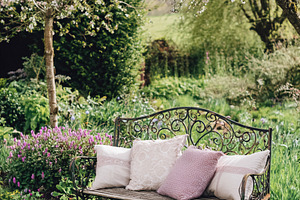 Wrought iron bench with cozy pillows under a blooming spring tre, a Photo by Studio ANNA