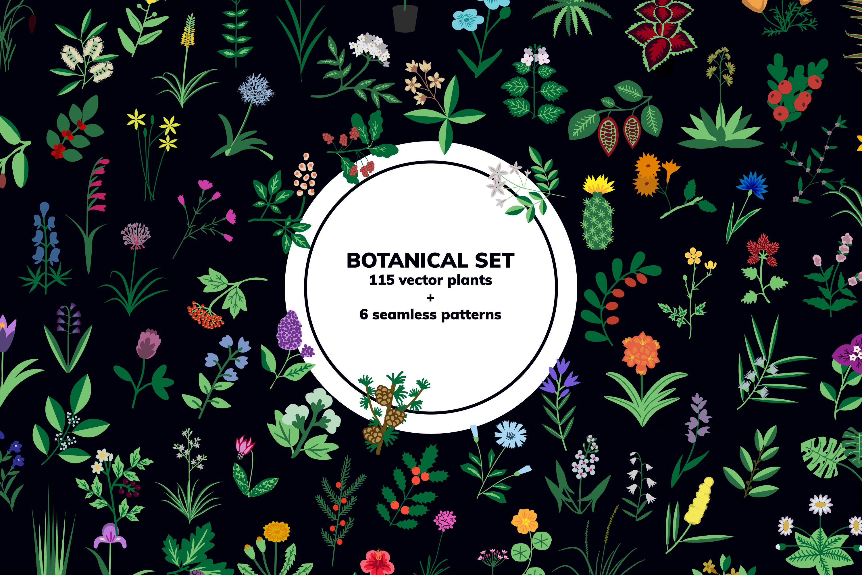 Botanical set, plants and patterns, an Object Graphic by elyomys