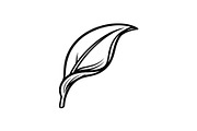 Hand Drawn Leaf Line Art Bundle, an Illustration by hafijul (Thumbnail 10 of 51)